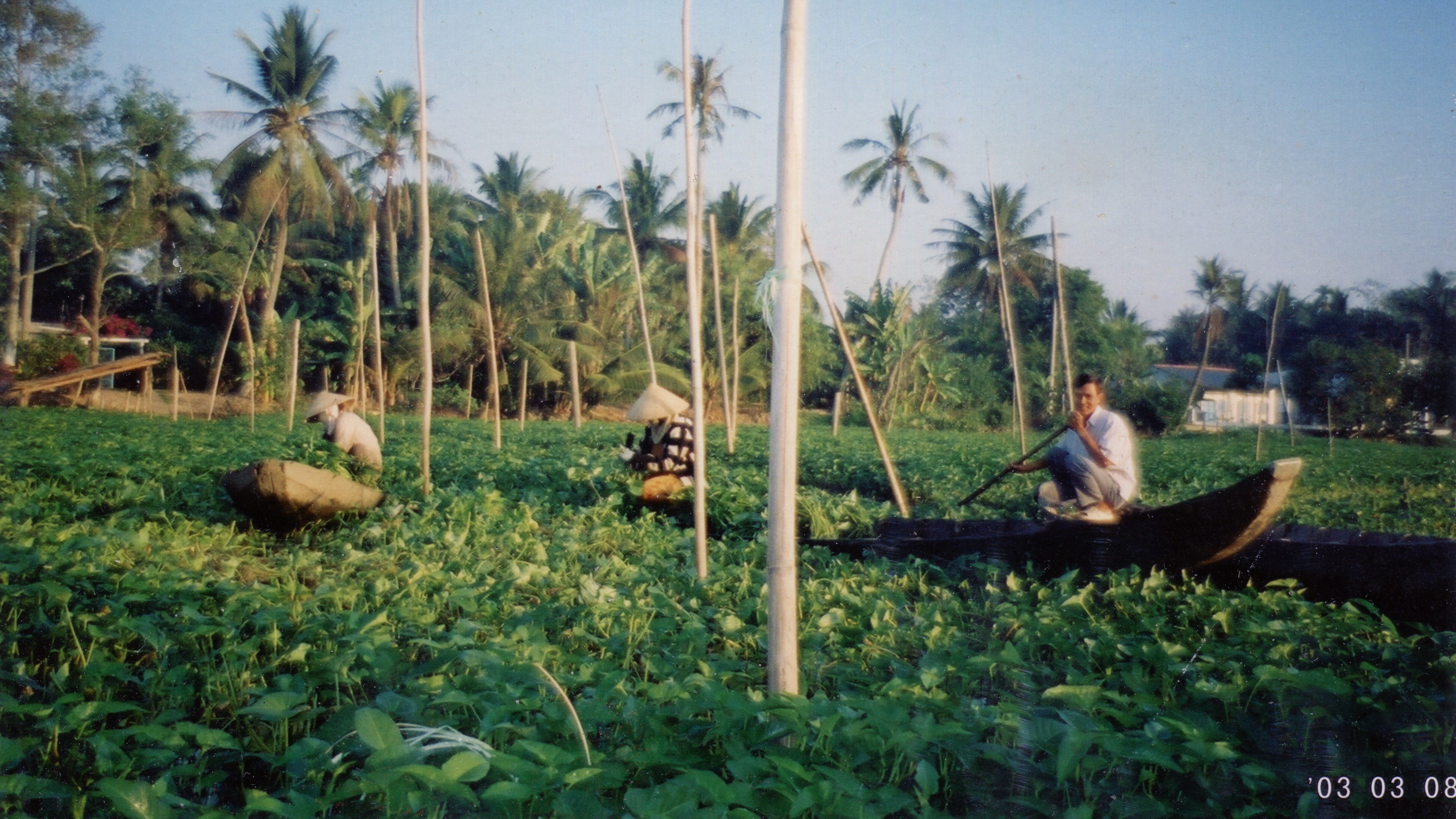 Hồ Búng Xáng nơi tôi sinh ra